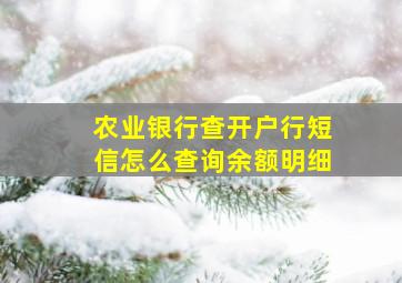 农业银行查开户行短信怎么查询余额明细