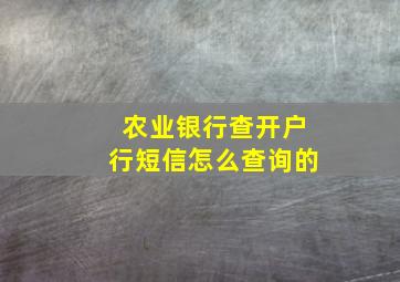 农业银行查开户行短信怎么查询的