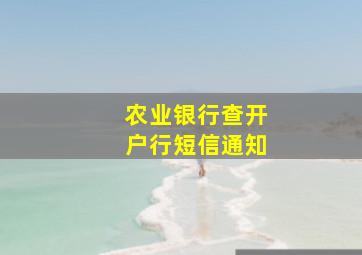 农业银行查开户行短信通知