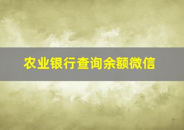 农业银行查询余额微信