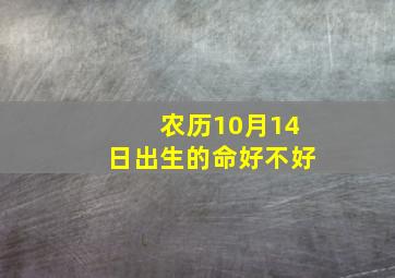 农历10月14日出生的命好不好