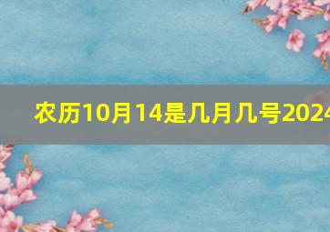 农历10月14是几月几号2024