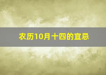 农历10月十四的宜忌