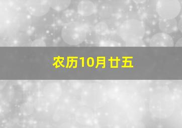 农历10月廿五