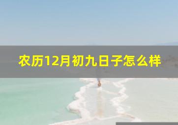 农历12月初九日子怎么样