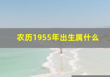 农历1955年出生属什么