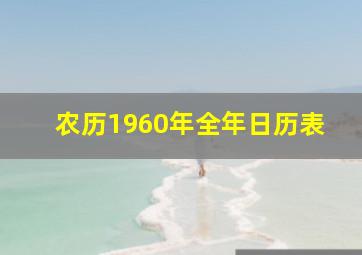 农历1960年全年日历表