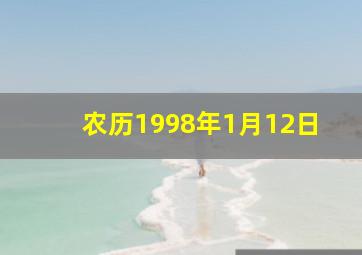 农历1998年1月12日