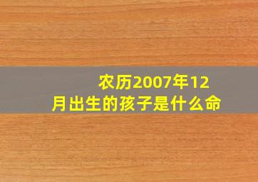 农历2007年12月出生的孩子是什么命