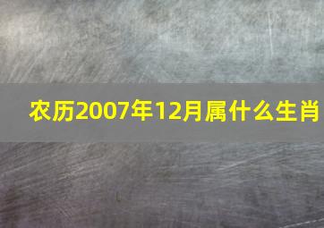 农历2007年12月属什么生肖