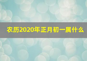 农历2020年正月初一属什么