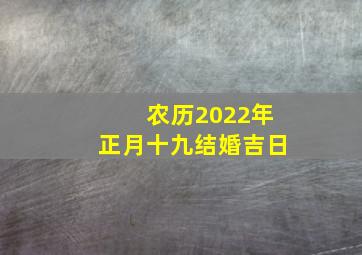 农历2022年正月十九结婚吉日