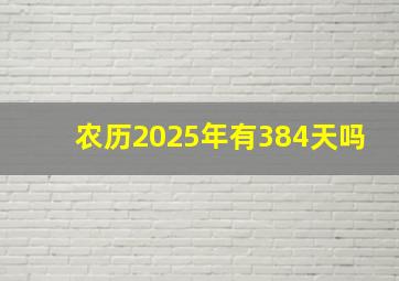 农历2025年有384天吗