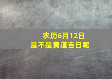 农历6月12日是不是黄道吉日呢