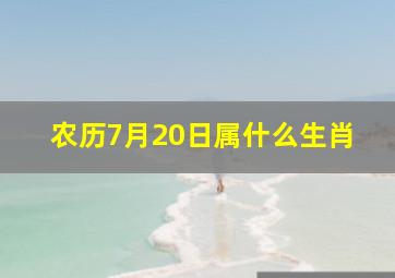 农历7月20日属什么生肖