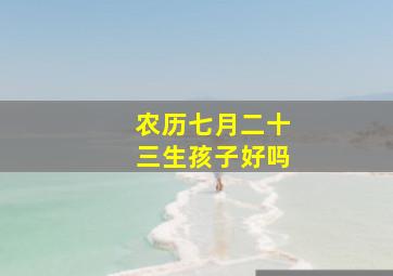 农历七月二十三生孩子好吗