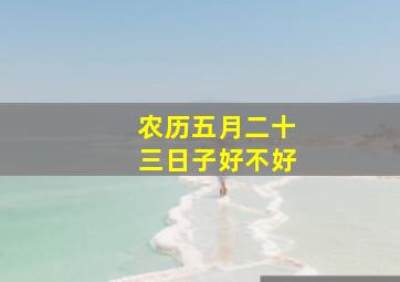 农历五月二十三日子好不好