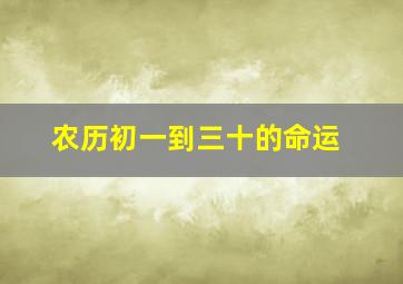 农历初一到三十的命运