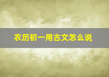 农历初一用古文怎么说