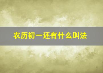 农历初一还有什么叫法