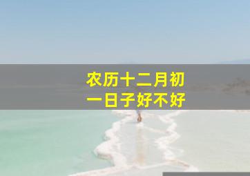 农历十二月初一日子好不好