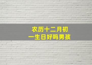 农历十二月初一生日好吗男孩