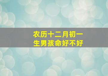 农历十二月初一生男孩命好不好