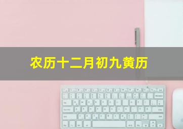 农历十二月初九黄历