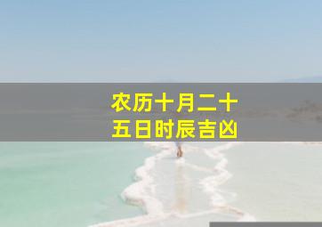 农历十月二十五日时辰吉凶