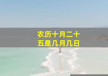 农历十月二十五是几月几日