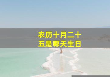 农历十月二十五是哪天生日