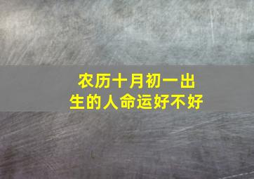 农历十月初一出生的人命运好不好