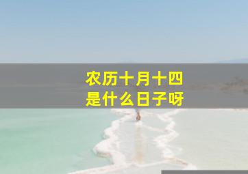 农历十月十四是什么日子呀