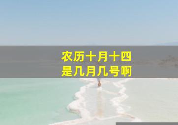 农历十月十四是几月几号啊