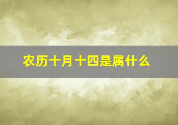 农历十月十四是属什么