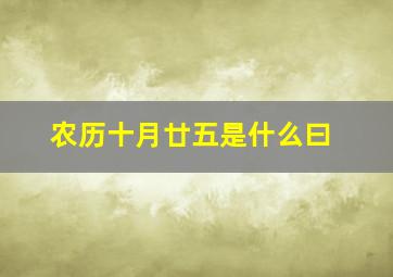 农历十月廿五是什么曰