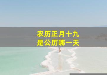 农历正月十九是公历哪一天