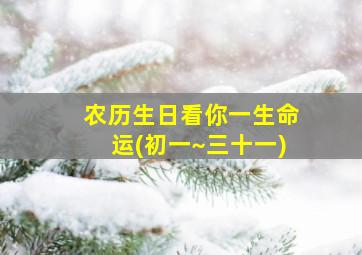 农历生日看你一生命运(初一~三十一)