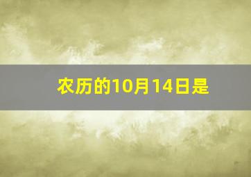 农历的10月14日是