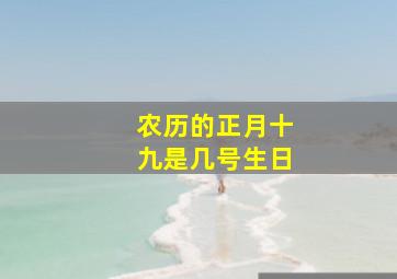 农历的正月十九是几号生日