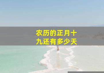 农历的正月十九还有多少天