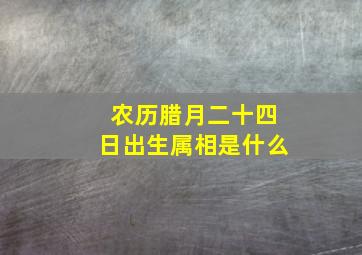 农历腊月二十四日出生属相是什么