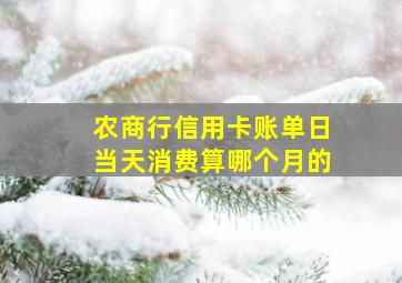 农商行信用卡账单日当天消费算哪个月的