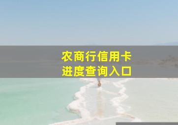 农商行信用卡进度查询入口