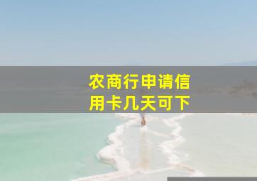 农商行申请信用卡几天可下