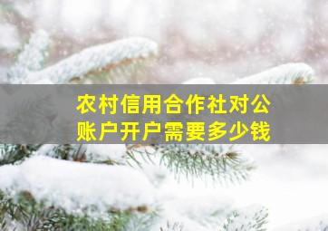 农村信用合作社对公账户开户需要多少钱