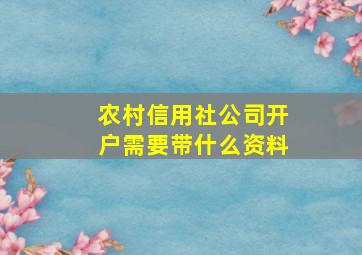 农村信用社公司开户需要带什么资料