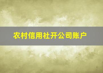 农村信用社开公司账户