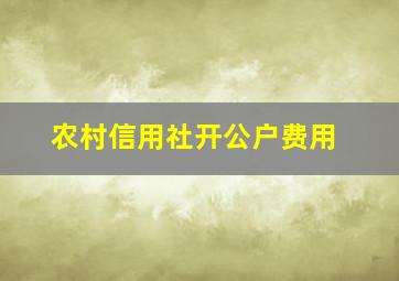 农村信用社开公户费用