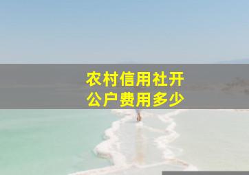 农村信用社开公户费用多少